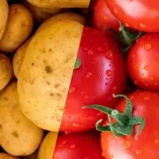 Conference A La Mediatheque : Voyage Des Légumes Et De Leurs Noms