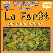 Conférence de l'Université du Temps Libre : La forêt qui nous entoure