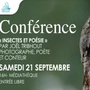 Conférence | insectes et poésie