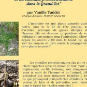 Conférence : L'Ambroisie Et Les Chenilles Processionnaires Dans Le Grand Est