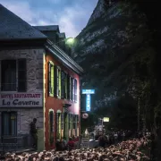 Conférence : La transhumance, patrimoine immatériel - Journées européennes du patrimoine 2024