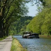 Conférence : 'Le Canal Des Vosges'