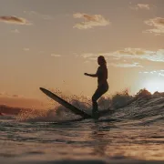 Conférence : Le surf Landais, une histoire à découvrir