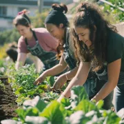 Conférence  : Les jardins nourriciers