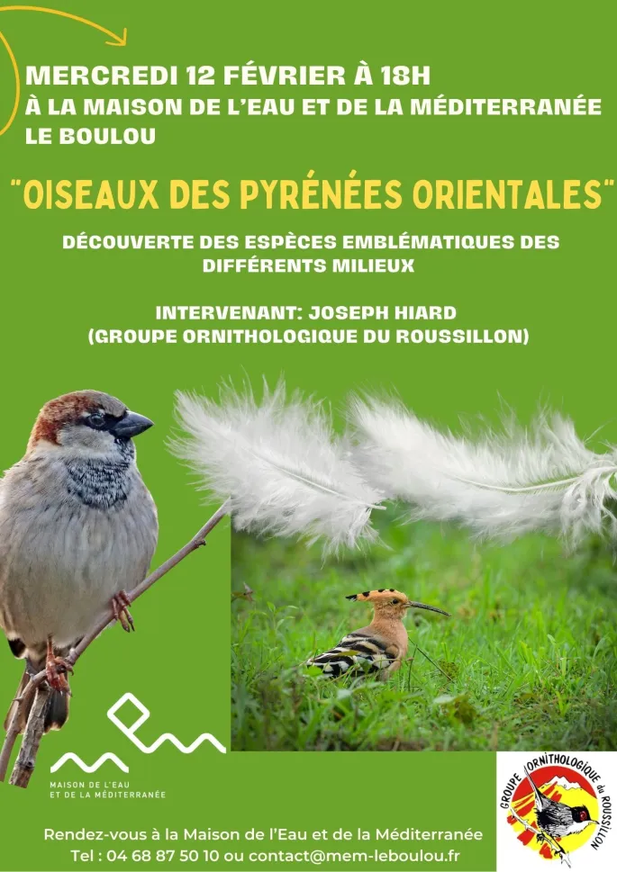 Conférence  Les Oiseaux Des Pyrénées Orientales