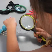 Conférence Les vautours, nettoyeurs de la nature