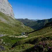 Conférence : Pastoralisme et archéologie en Béarn