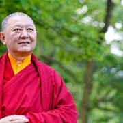 Conférence Publique Avec Ringu Tulku Rinpoché