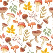 Conférence sur les champignons \