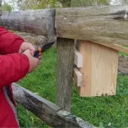 Construction d'une mangeoire à oiseau  à Terres d'oiseaux