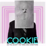 COOKIE – do you accept the terms and conditions ?