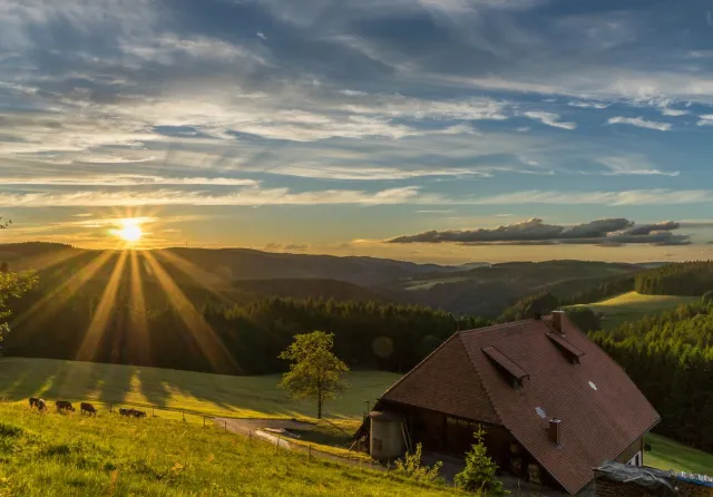 Coucher de soleil en Forêt-Noire