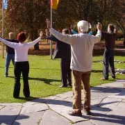 Cours de QI GONG