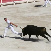 Course camarguaise aux arènes \