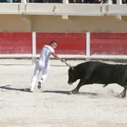 Course Camarguaise avec une école Taurine