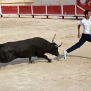 Course camarguaise catégorie Avenir