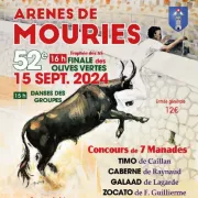 Course camarguaise : Finale des Olives Vertes