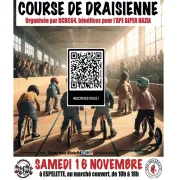 Course de draisienne