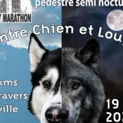 Course Pedestre Entre Chien Et Loup