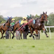 Courses Hippiques  Semi-Nocturne Trot/Obstacle