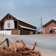 Création guirlande de petits monstres