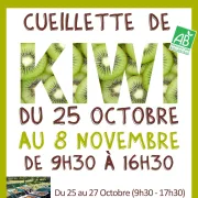 Cueillette De Kiwi Bio