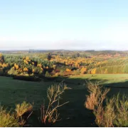 Cycles de conférences du Parc : Paysage par Alain Freytet