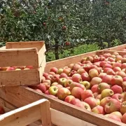 De Ferme En Ferme En Montagne Noire - Les Ares Verts