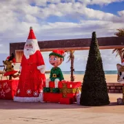 Décoration Du Sapin Géant