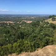 Decouverte Accompagnee Du Sentier Botanique