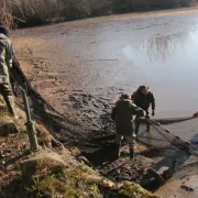 Découverte commentée d'une pêche d'étang