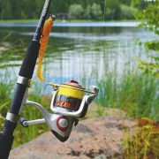 Découverte de la pêche au carnassier