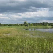 Découverte de la Réserve naturelle de Chérine