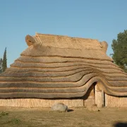 Découverte De Ruscino