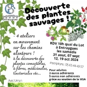 Découverte des plantes sauvages