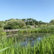 Découverte du Marais d'Orx