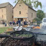 Dégustation de châtaignes