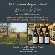 Dégustation des vins de Guillaume Sorbe