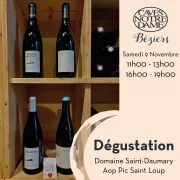 Degustation Des Vins Du Domaine Saint Daumary