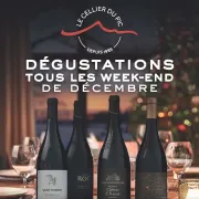 Dégustations De Noël Au Cellier Du Pic