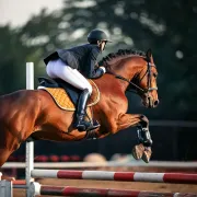 Démarrer l'équitation : le matériel indispensable pour pratiquer en toute sécurité