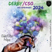 Derby/CSO des vendanges à Douelle