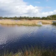 Dessiner et peindre dans la Réserve de Chérine