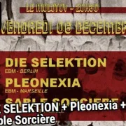 DIE SELEKTION + Pleonexia + Sable Sorcière