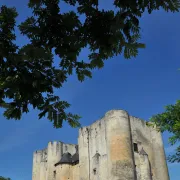 Dimanche au musée - musée du Donjon à Niort