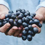 Dîner vigneron de la table du Centenaire