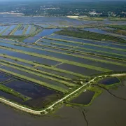 Domaine de Certes et Graveyron : Conférence sur les submersions marines