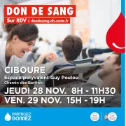 Don de sang