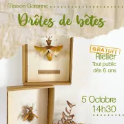 Drôles De Bêtes