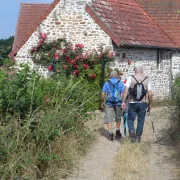 Du bois de Sugères au château de la Romagère à St Sauvier